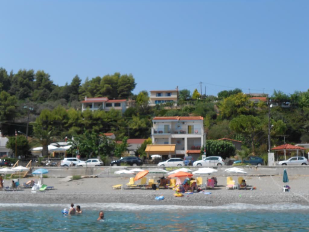 Asimenia *