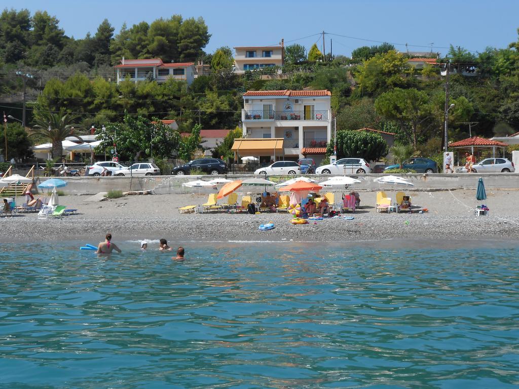 Asimenia